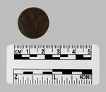 026.045-OSSABAW