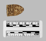 026.026-OSSABAW