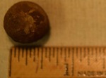 Musket Ball - CS4026 by Morehead State University. History Department