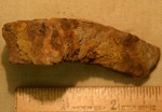 Shell Fragment- CS3004 by Morehead State University. History Department