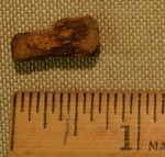 Nail Fragment- CS3010 by Morehead State University. History Department