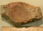 Shell Fragment- CS3025 by Morehead State University. History Department