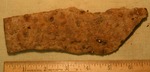 Shell Fragment- CS3133 by Morehead State University. History Department