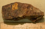 Shell Fragment- CS3142 by Morehead State University. History Department