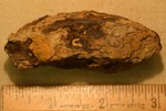 Shell Fragment- CS3195 by Morehead State University. History Department