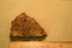 Shell Fragment- CS3233 by Morehead State University. History Department