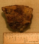 Shell Fragment- CS3238 by Morehead State University. History Department