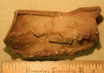 Lead Fragment- CS3240 by Morehead State University. History Department