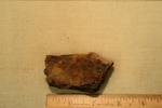 Shell Fragment- CS3248 by Morehead State University. History Department