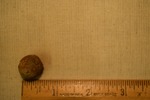 Musket Ball- CS4003 by Morehead State University. History Department
