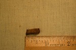 Nail Fragment- CS4058 by Morehead State University. History Department