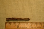 Nail Fragment- CS4076 by Morehead State University. History Department