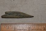 Feathers- CS4078 by Morehead State University. History Department