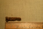 Nail Fragment- CS4093 by Morehead State University. History Department
