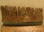 Comb- B1006 by Morehead State University. History Department