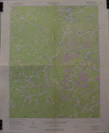 Matewan 1978 by United State Geological Survey and Robert M. Rennick