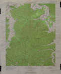 Spring Lick 1954 by United State Geological Survey and Robert M. Rennick