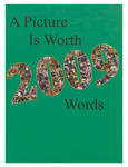 2009 Rowan County High School Yearbook