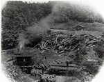 Magoffin County - Logging by Stuart S. Sprague and Alice Lloyd College