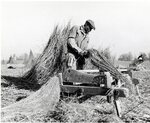 Fayette County - Farmer by Stuart S. Sprague