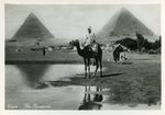 Cairo - The Pyramids by Lehnert & Landrock