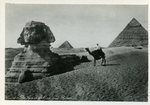 Cairo - The Great Sphinx and Pyramids by Lehnert & Landrock