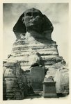The Sphinx by Unknown