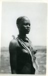Indigenous People of Africa by Unknown
