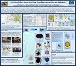 Extracting Pollen, Spores, and Algae from Paleocene and Eocene Sediments
