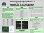 The Detection of Antibiotic Resistant Bacteria in the Triplett Creek Watershed by Sydney Blanton and Minh Tran