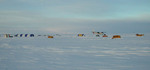 Antarctic Project - 2000 by Robert J. Twiggs