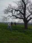 CanSat Project - Winter 2001 by Robert J. Twiggs