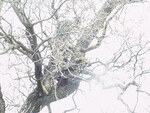 CanSat Project - Winter 2001 by Robert J. Twiggs