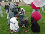 CanSat Project - Balloon Launch - Winter 2001 by Robert J. Twiggs
