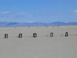 ARLISS Project - 2006 by Robert J. Twiggs