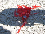 ARLISS Project (Stanford Rover Group) - 2006 by Robert J. Twiggs