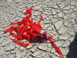 ARLISS Project (Stanford Rover Group) - 2006 by Robert J. Twiggs